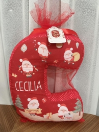 Alphabet/ Name Pillow